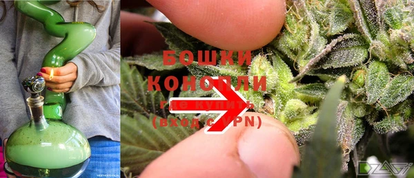 стаф Верея