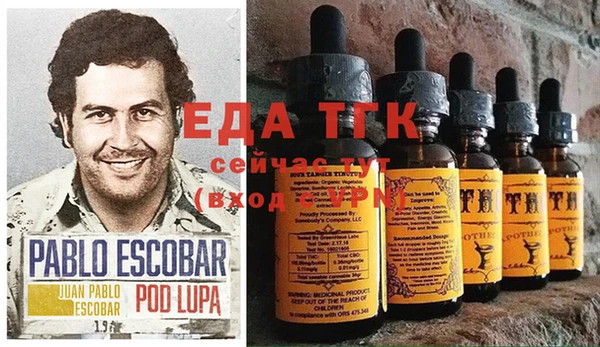 стаф Верея