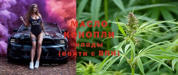 стаф Верея