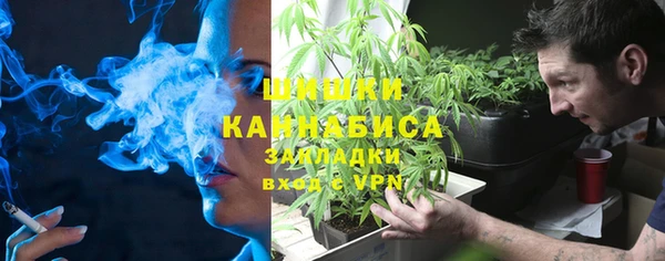 соль ск Верхний Тагил